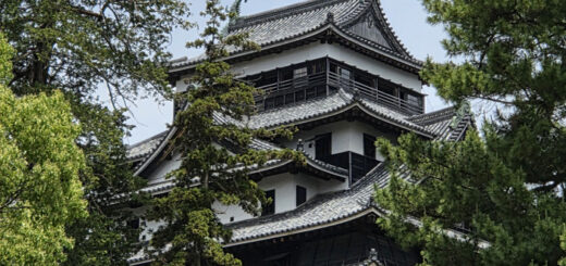 2025年7月号【Web社内報】みんなの家族旅行 中国地方旅行の感想 no.3