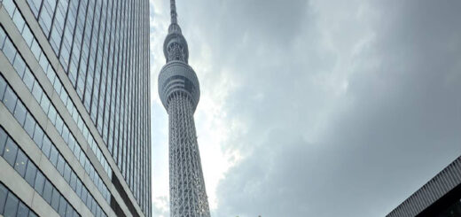 2025年8月号【Web社内報】みんなの家族旅行 東京旅行の感想 no.5