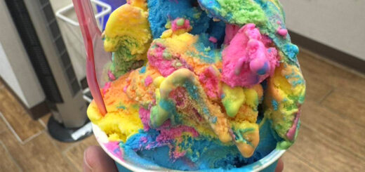 2025年11月号【Web社内報】みんなの家族旅行の感想 no.2