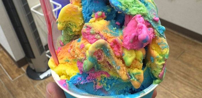 2025年11月号【Web社内報】みんなの家族旅行の感想 no.2