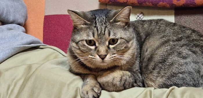 2026年2月号【Web社内報】 スタッフにインタビュー