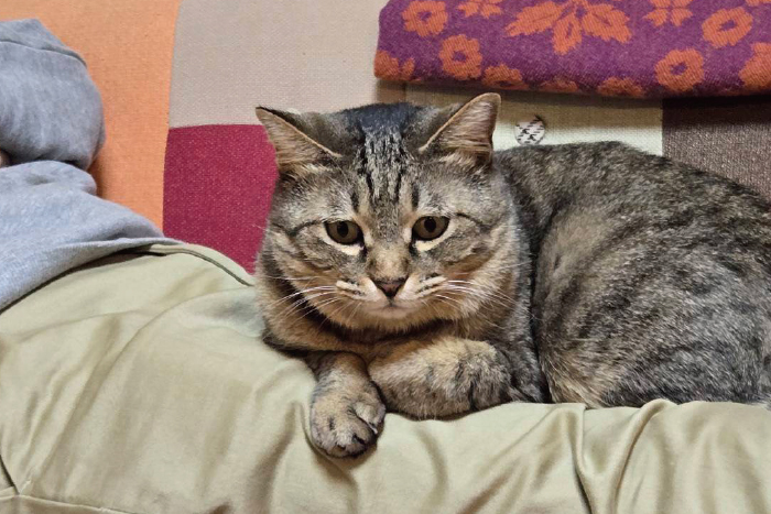 2026年2月号【Web社内報】 スタッフにインタビュー